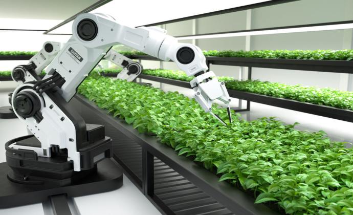 Sustainable Veggies Investment